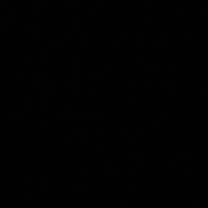 Meet your Posher, Bella